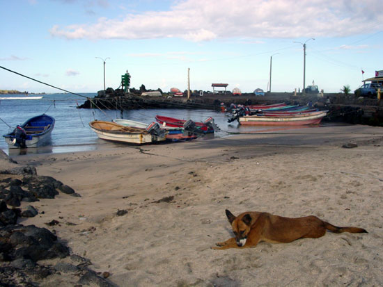 Fishing boats in the harbour at Hanga Roa